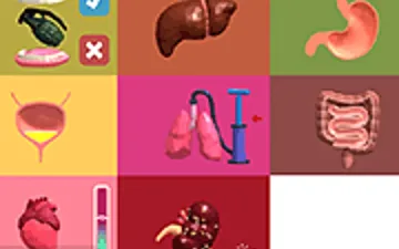 Anatomic Mayhem