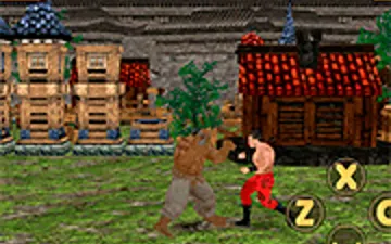 Sumo Fury