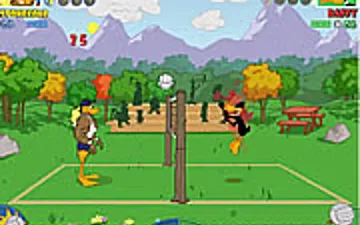 Tricky Duck Volleyball