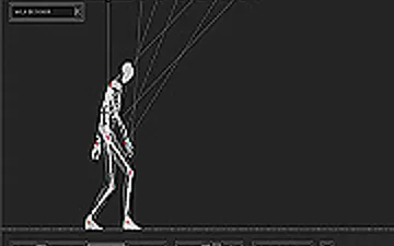 Wire Skeleton