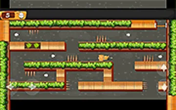 Cat Trap Labyrinth Escape