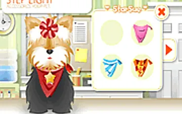 Pet-grooming Studio