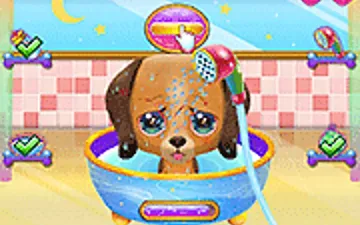Cute Puppy Care
