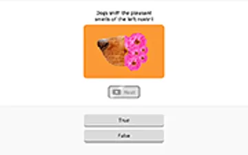 True False Quiz game preview