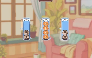 Cat Stack Adventure