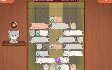 Slidey Cat Puzzle