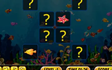 Fish Cards Match