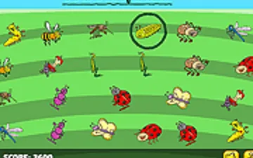 The Unique Insect