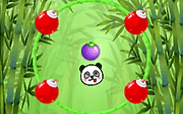 Fruit Rally