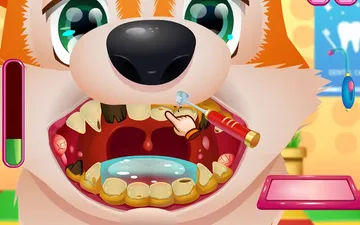 Cute Puppy Dentist