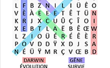 Word Search Classic