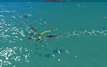 Hungry Shark Hunt