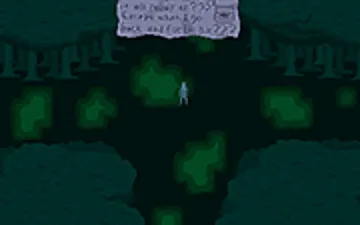 Lost in Firefly Forest