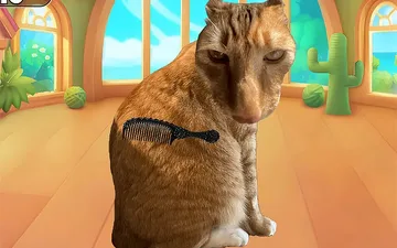 Brush Cat Challenge