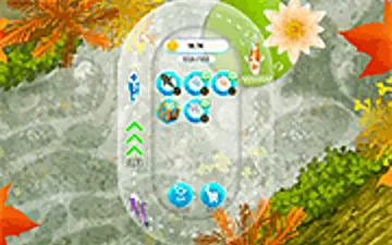 Koi Fish Pond