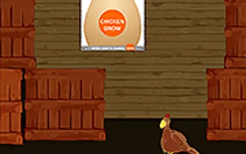 Chicken Grow