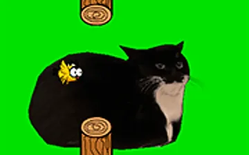 Flappy Bird Spinning Oia Oia Cat
