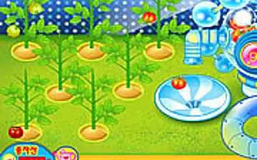 Sue Tomato Factory game preview