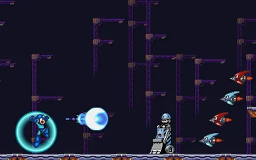 Megaman Polarity