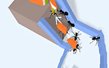 Ant Flow