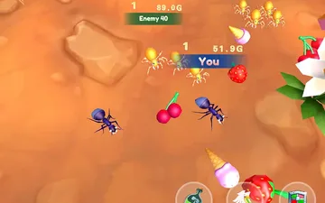 Ants io