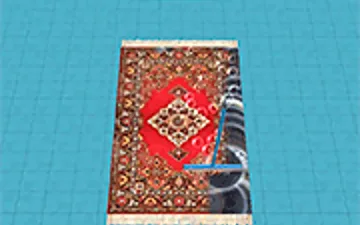 Carpet Cleaner