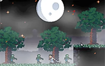 Ronin