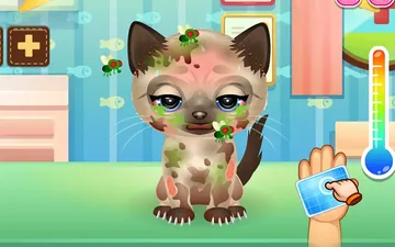 Adopt Your Pet Kitty