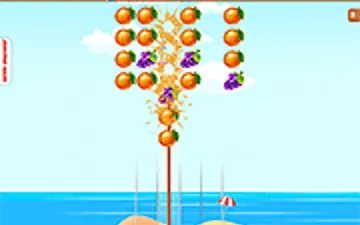 Fruits Skewer