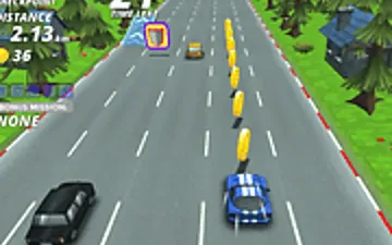 Wild Race