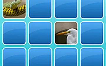 Zoo Match