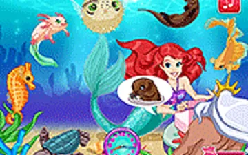 Mermaid Pet Shop