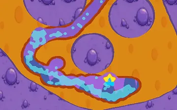 Swampy
