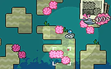 Maerl Bay game preview