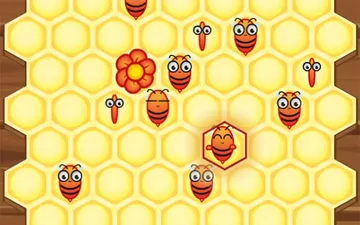 Honey Bee Lines
