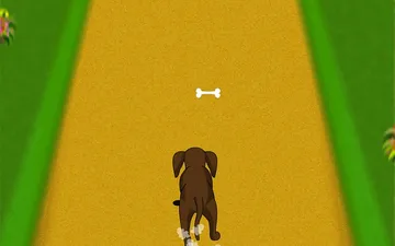 Dog Dash