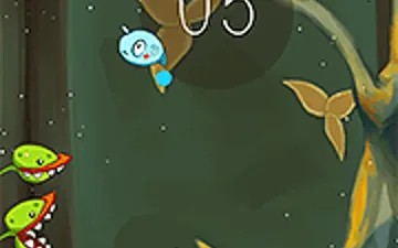 Fly Trap