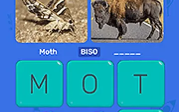 Word Search: Fun Puzzle