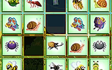 Find the Insect