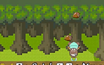 Yanmi Catch Acorns