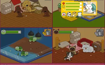 Animal Shelter