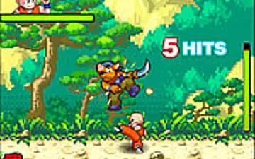 Dragon Ball Fighting 2