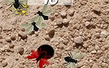 Smash the Flies