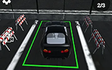 Reality Car Parking