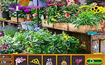 Hidden Flowers