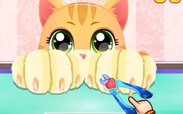 Kitty Fun Care