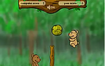 Teddy Ball