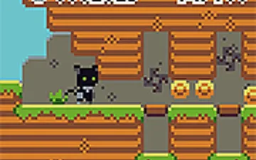 Cats and Coins