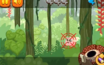 Rain Forest Hunter
