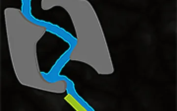 Sprinkle Plants Puzzle